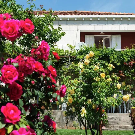 Sumptuous In Private Terrace Daire Dubrovnik